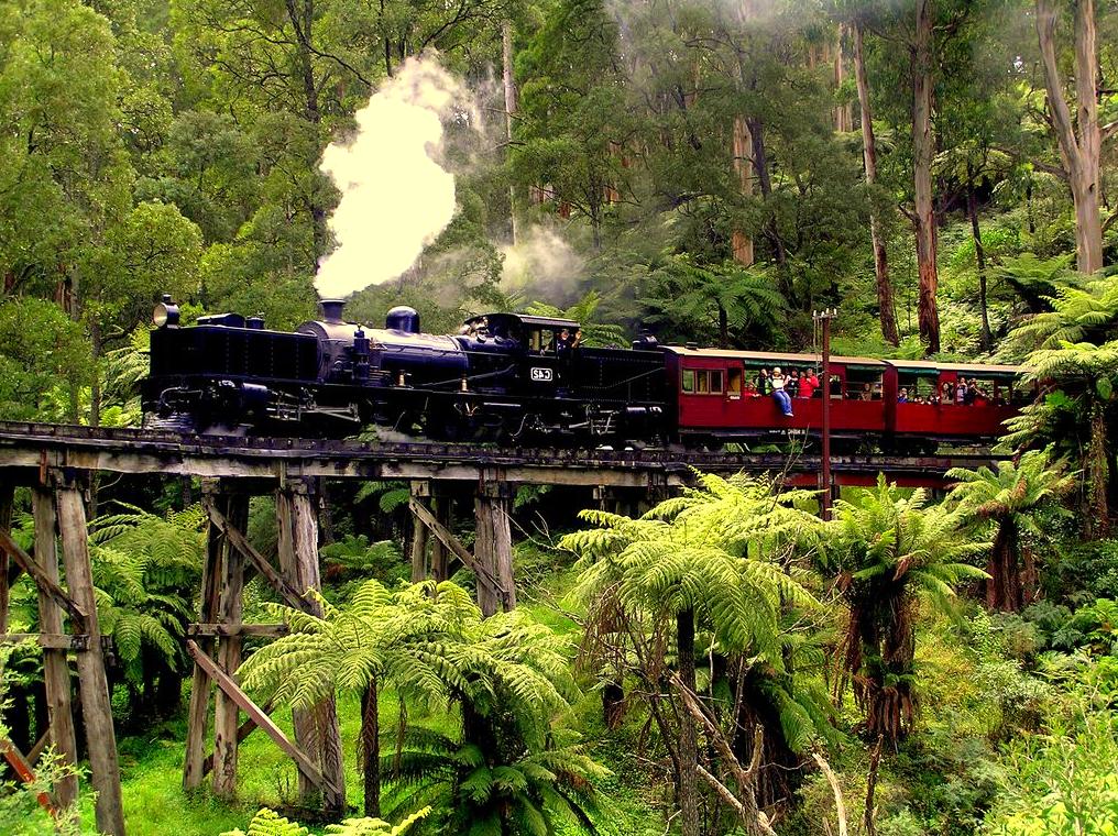 Exploring the Historic Puffing Billy Railway