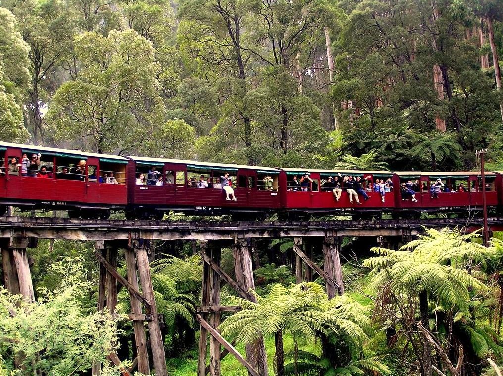 Discovering the Charm of Puffing Billy Railway