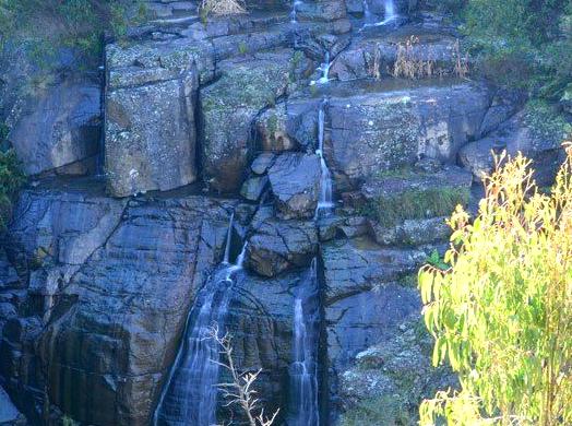 Journey Through the Wilderness of Kinglake National Park