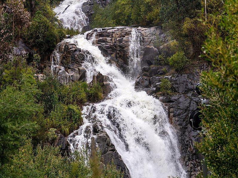 Visiting the Stunning Steavenson Falls.