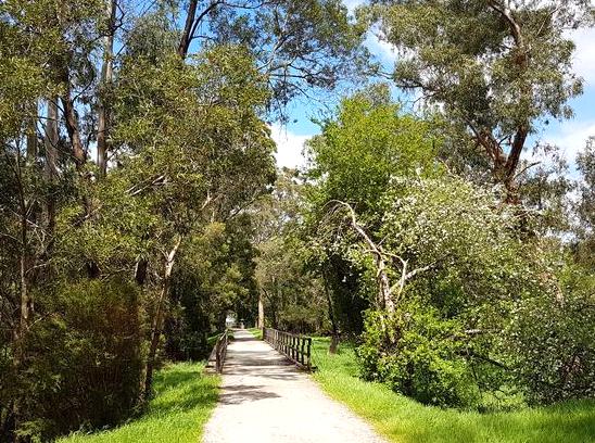 Warburton Trail: A Picturesque Route for Biking and Walking